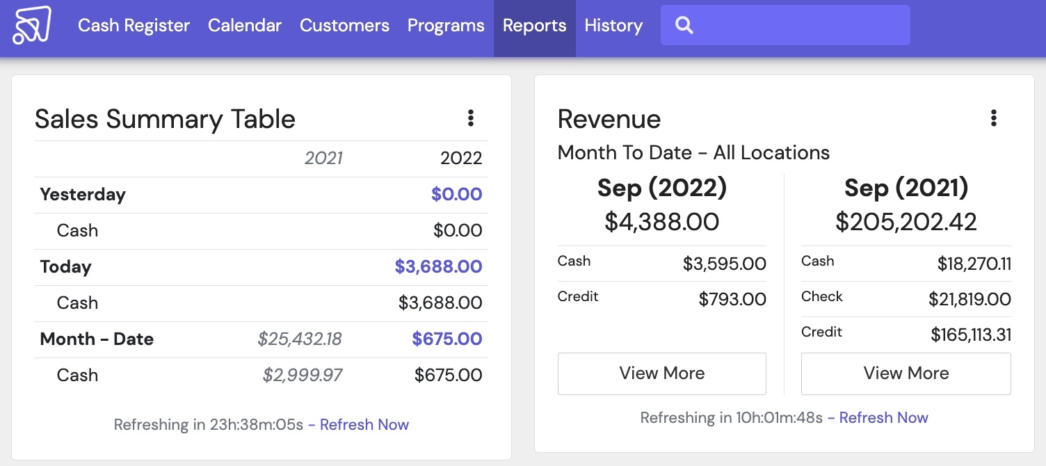 Sales and Revenue Report