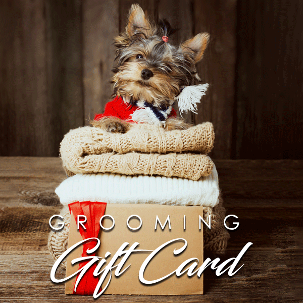 small business gift cards